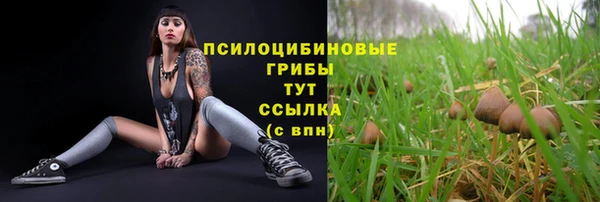 сатива Алексеевка